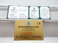 上海市工商营业执照代办、组织机构代码证代办与财务代理服务全解析