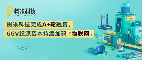树米科技完成A轮融资，GGV纪源资本持续加码物联网技术服务赛道